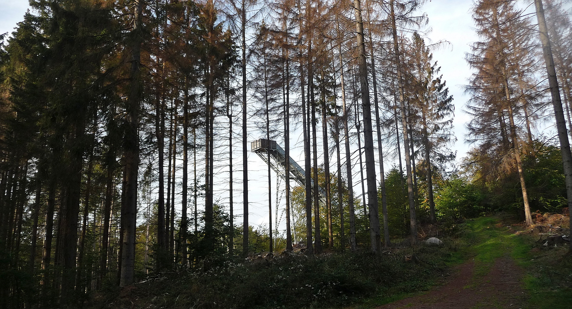 Sprungschanze im Wald