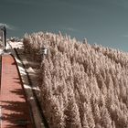 Sprungschanzen in Oberhof