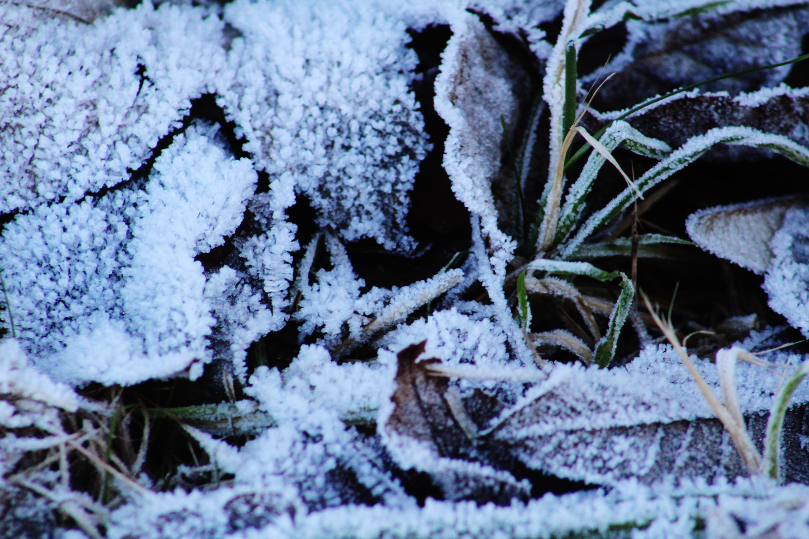 spürbare Kälte auf der Erde und in der Natur