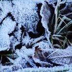 spürbare Kälte auf der Erde und in der Natur