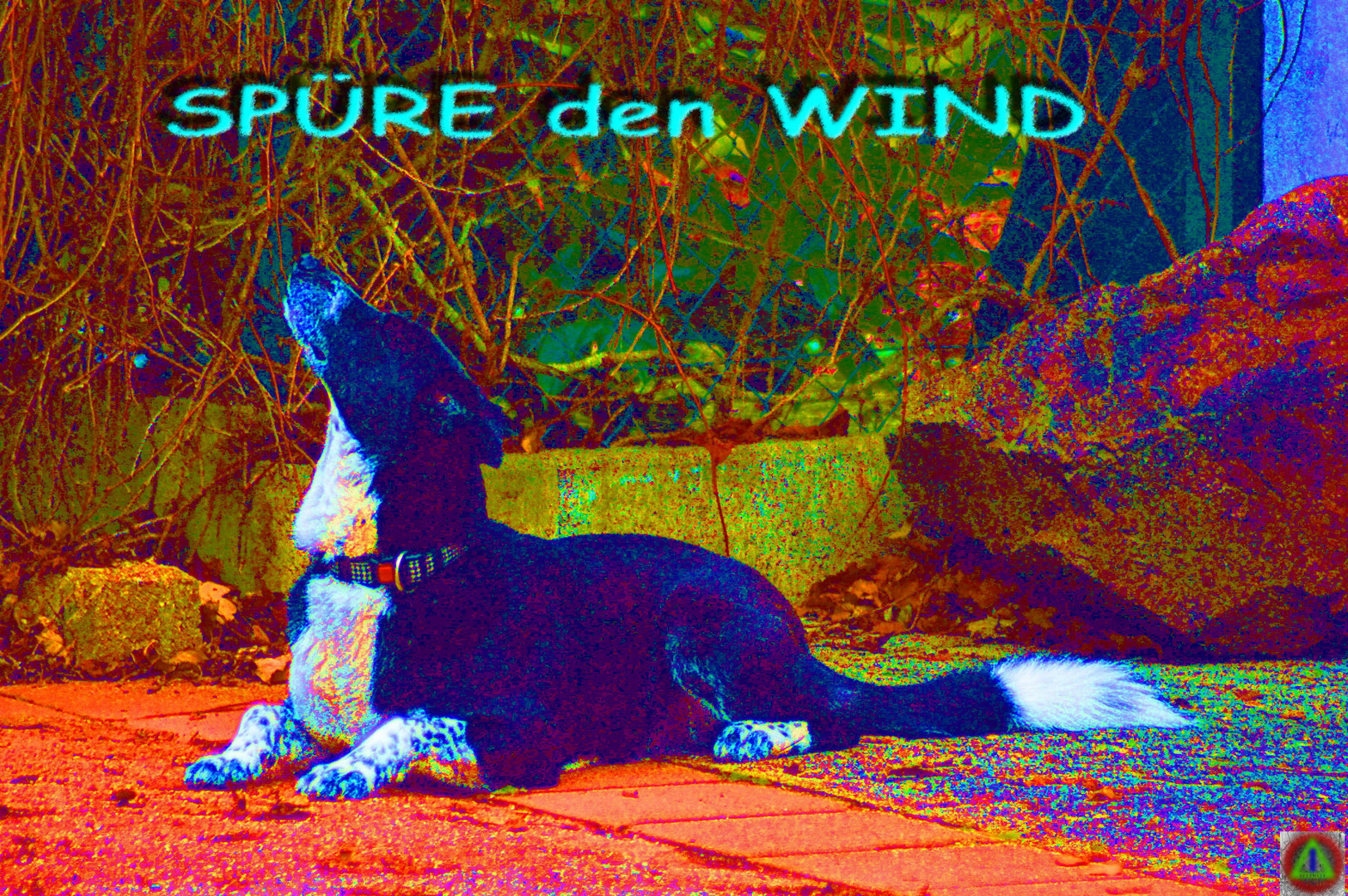 SPÜRE den WIND 2