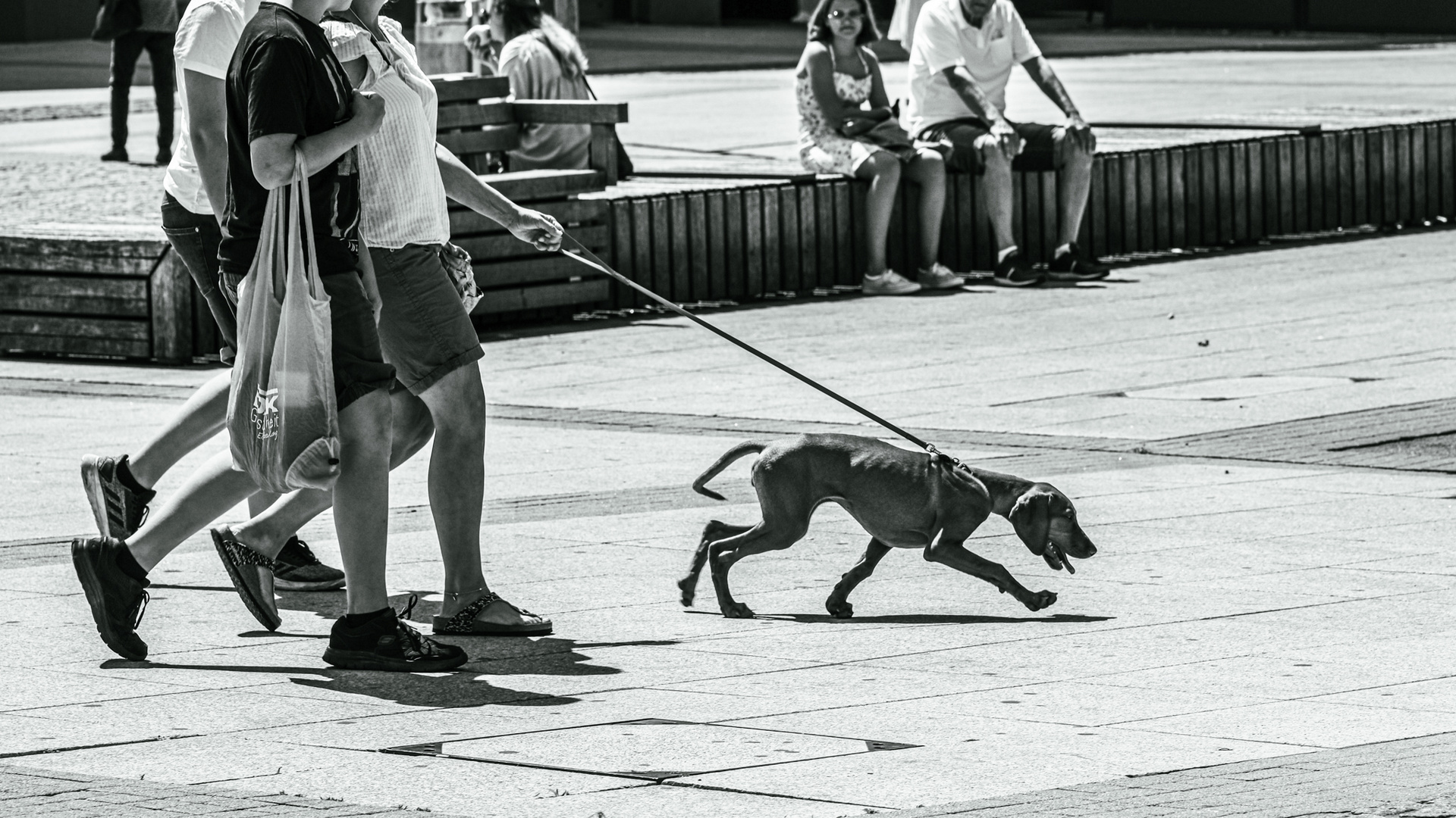 "Spürhund"