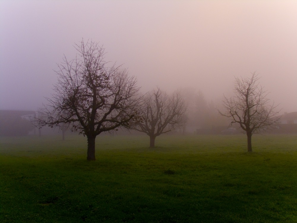 ...spürst du den Herbst...