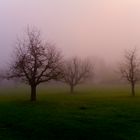 ...spürst du den Herbst...