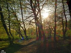 Spürst du den Sommer?