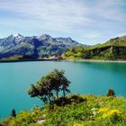 Spullersee Österreich