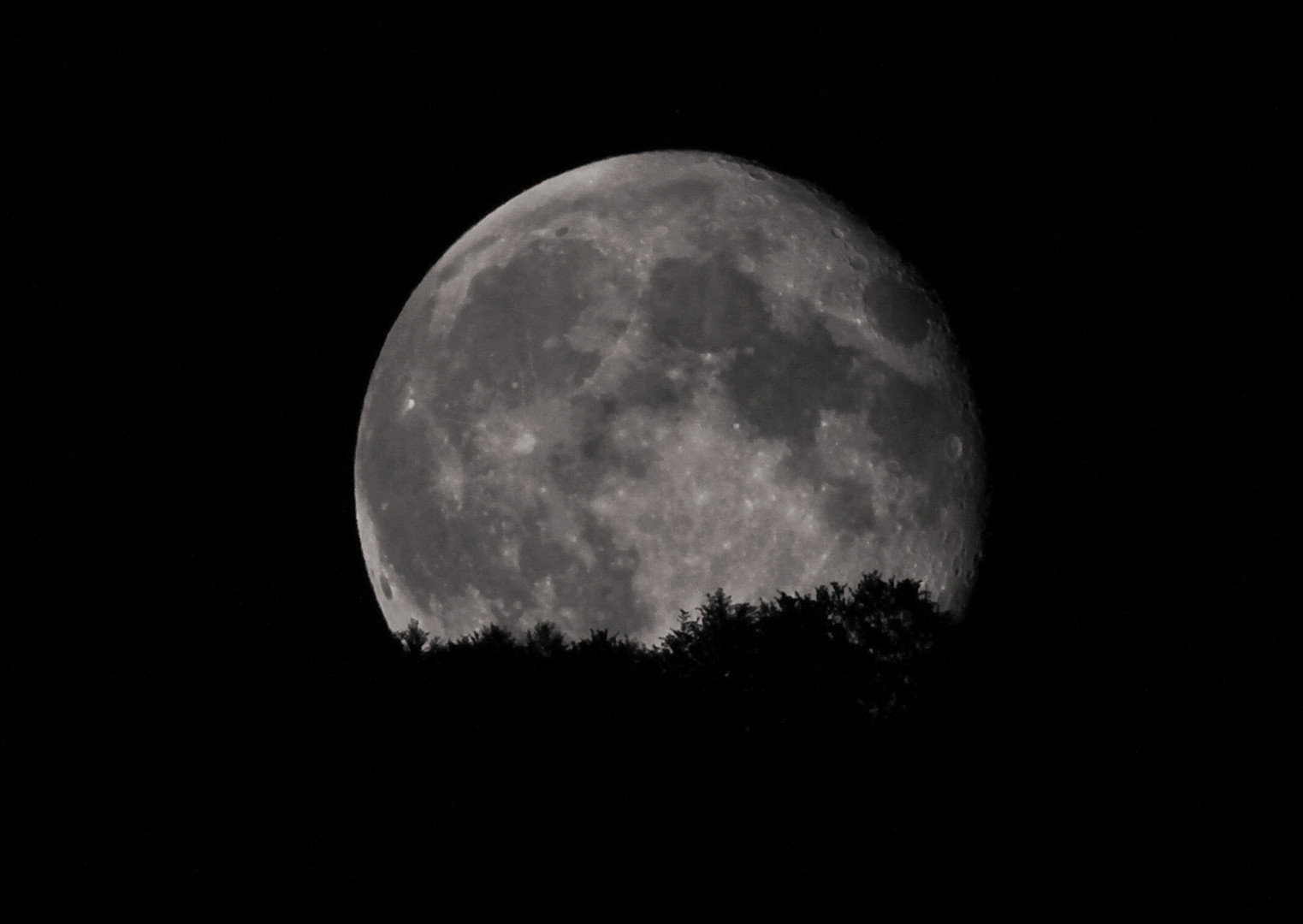 spunta la luna dal monte