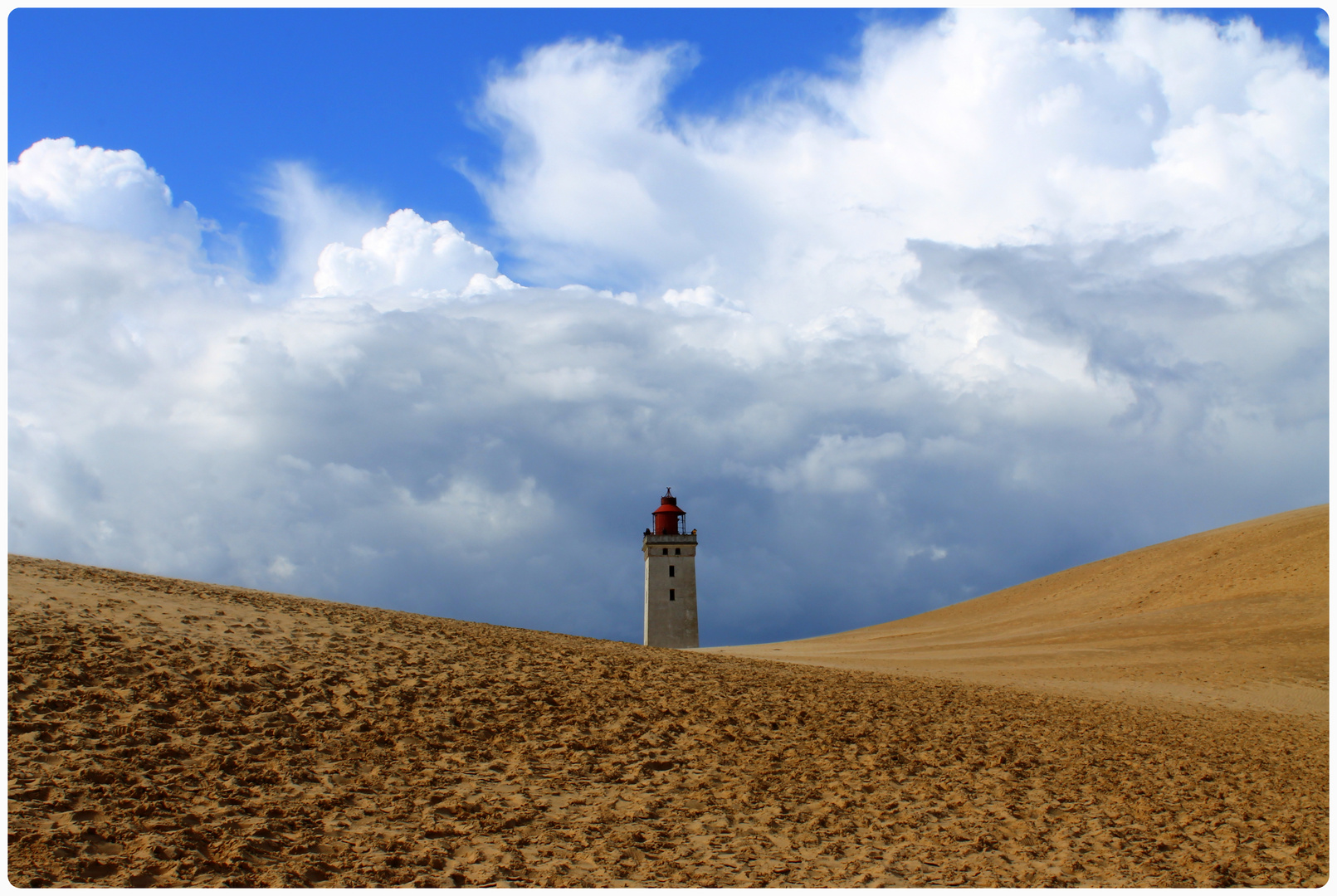 spuntando tra le dune