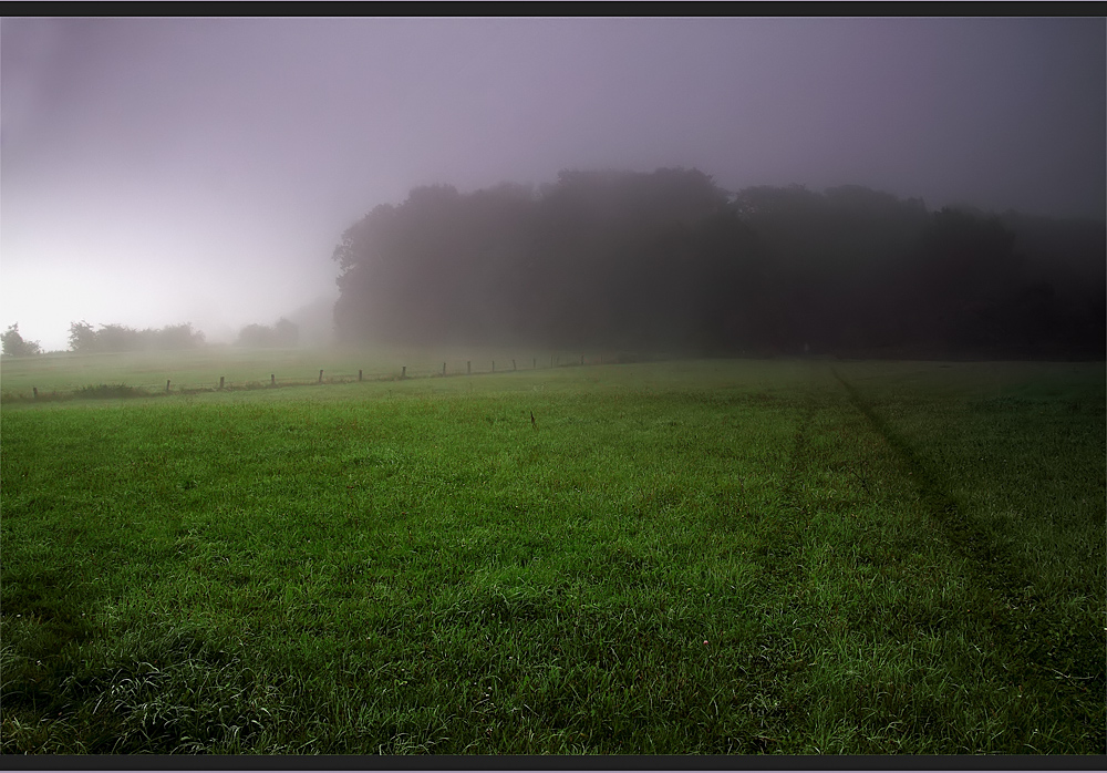 Spur im Nebel