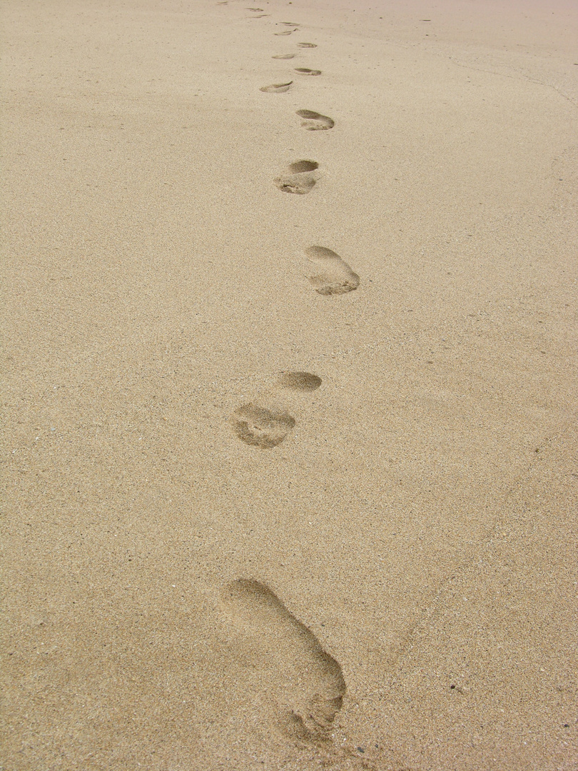 Spur im Sand Foto & Bild motive, natur, world Bilder auf