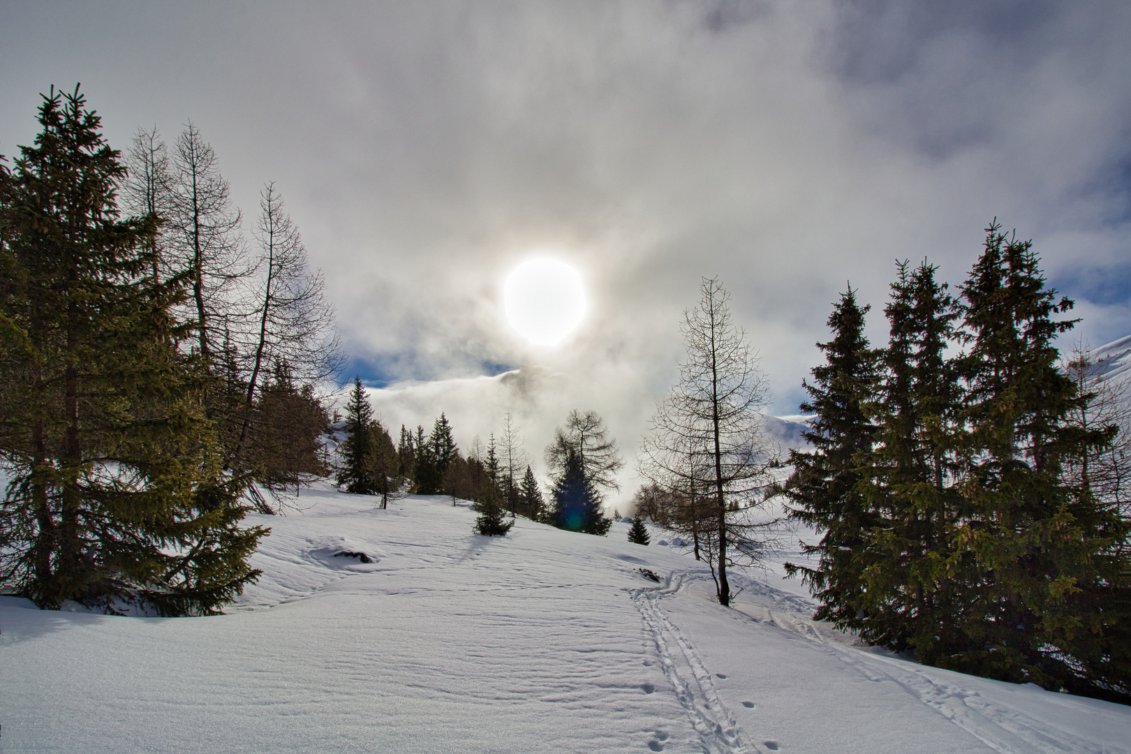 Spur im Schnee