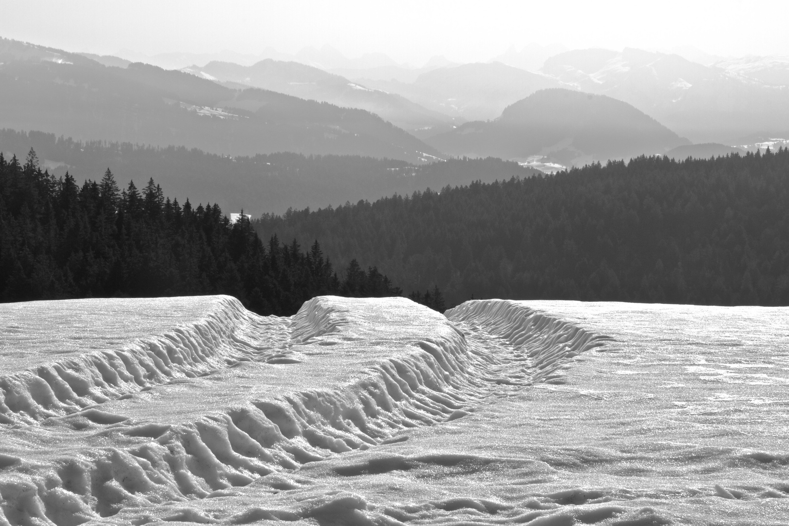 Spur im Schnee