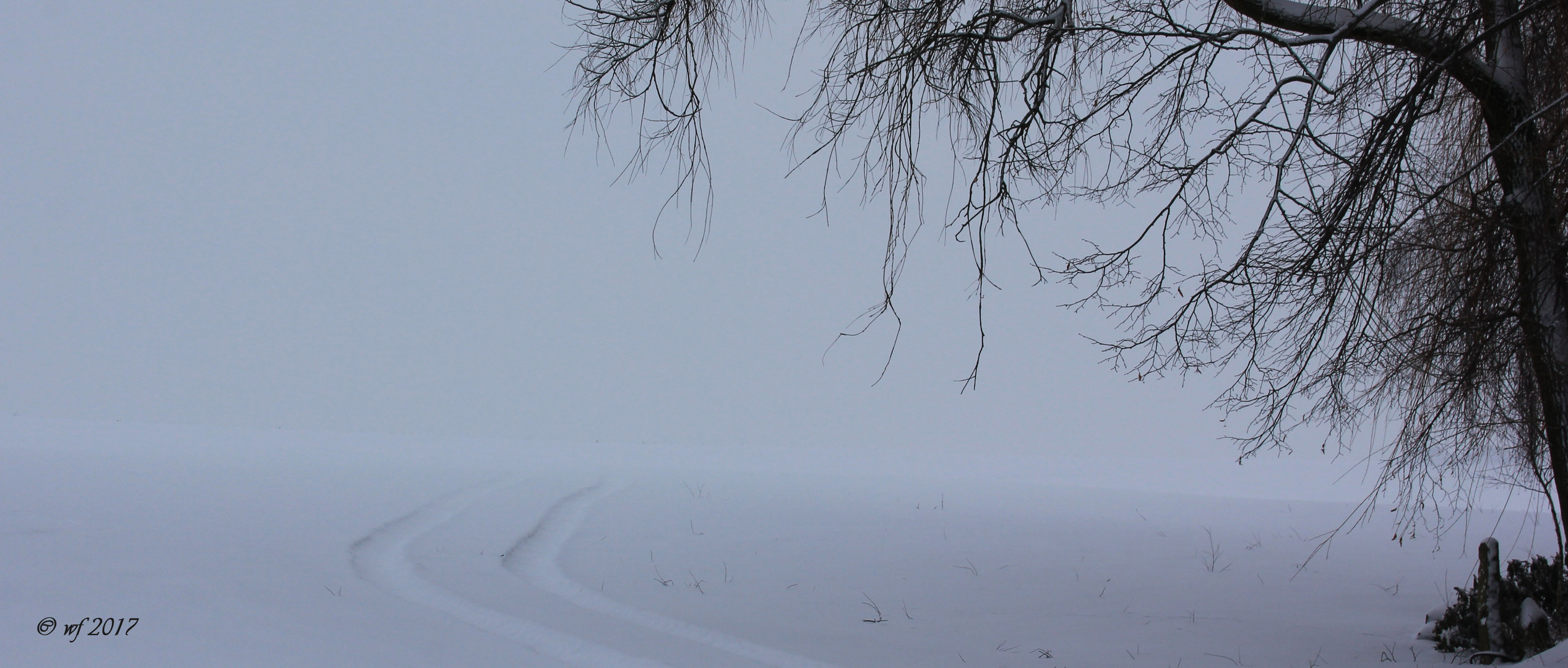 Spur im Schnee