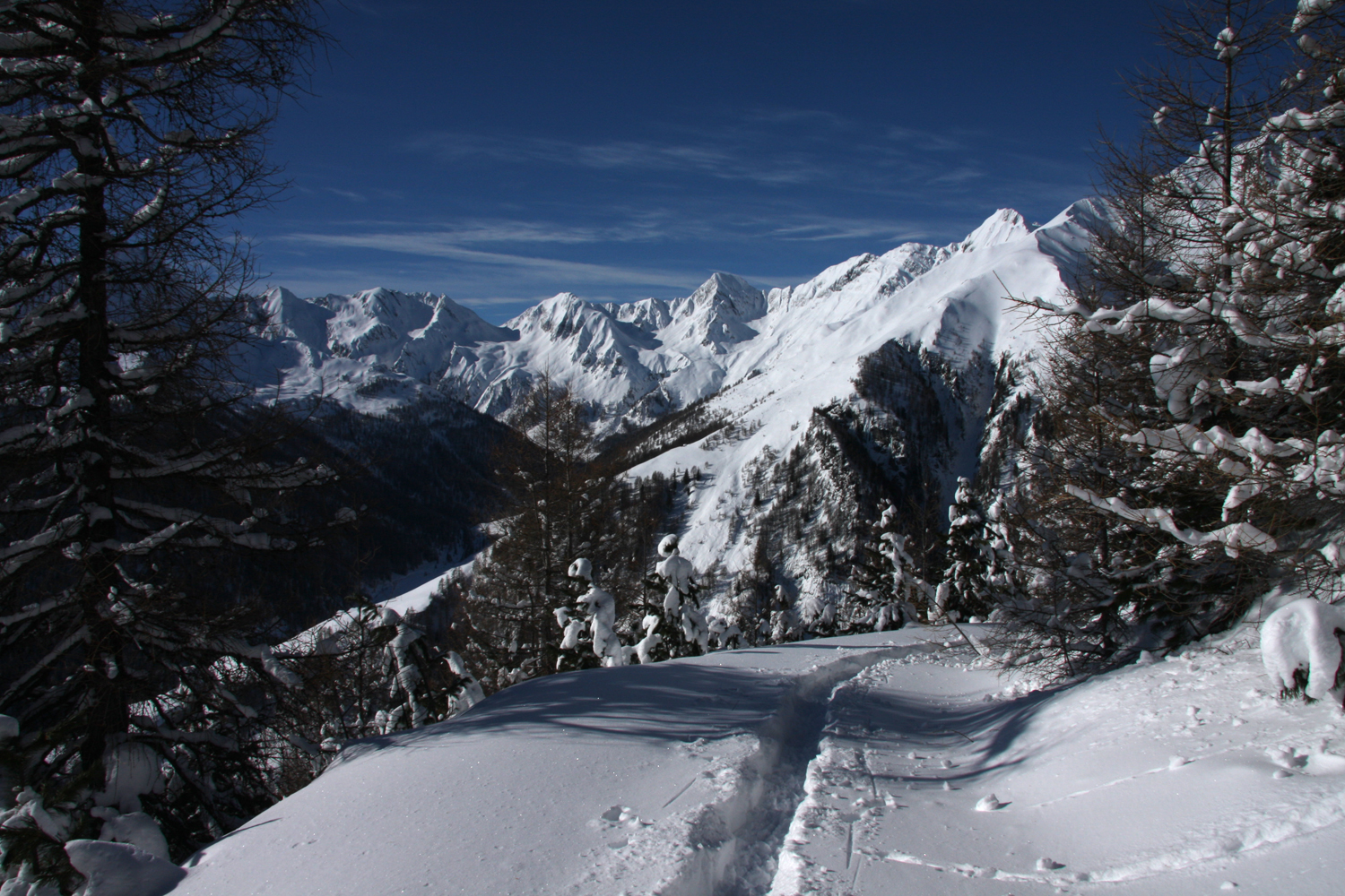 Spur im Schnee