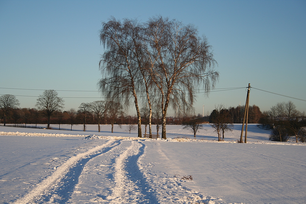 Spur im Schnee