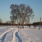 Spur im Schnee