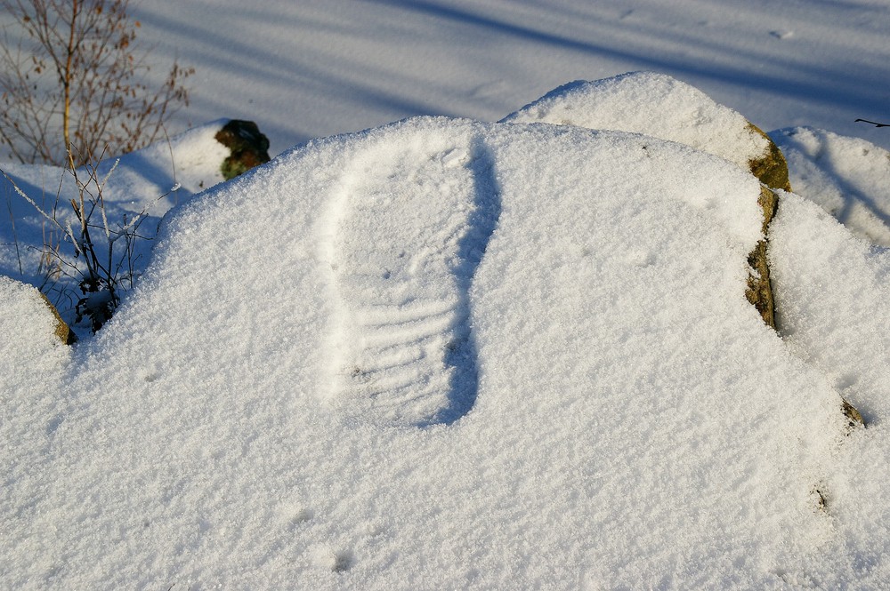 Spur im Schnee