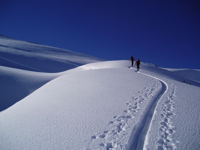 Spur im Schnee