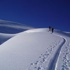 Spur im Schnee