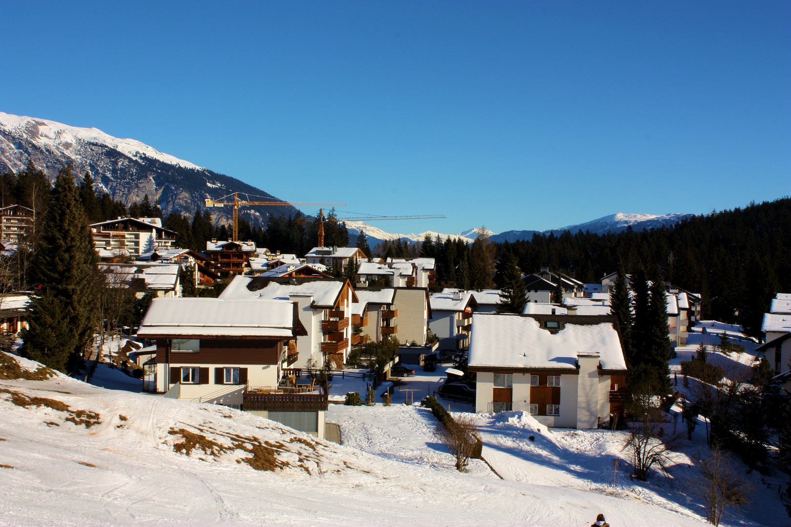 Spur im Schnee