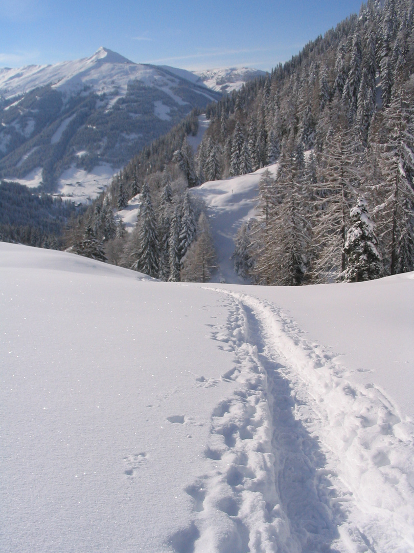 Spur im Schnee