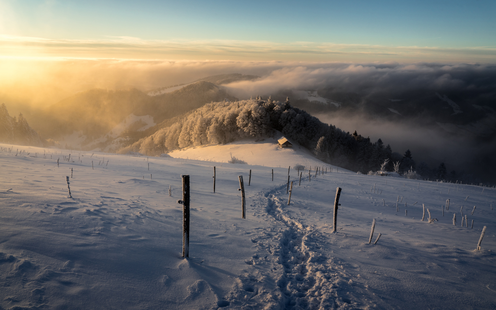 Spur im Schnee