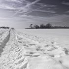 Spur im Schnee