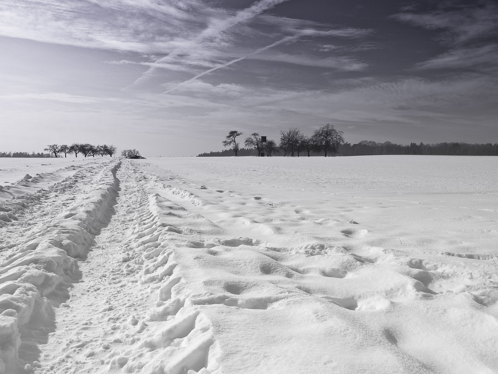 Spur im Schnee