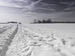 Spur im Schnee