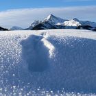 Spur im Schnee