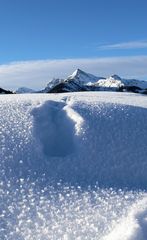 Spur im Schnee