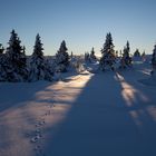 Spur im Schnee zur Sonne