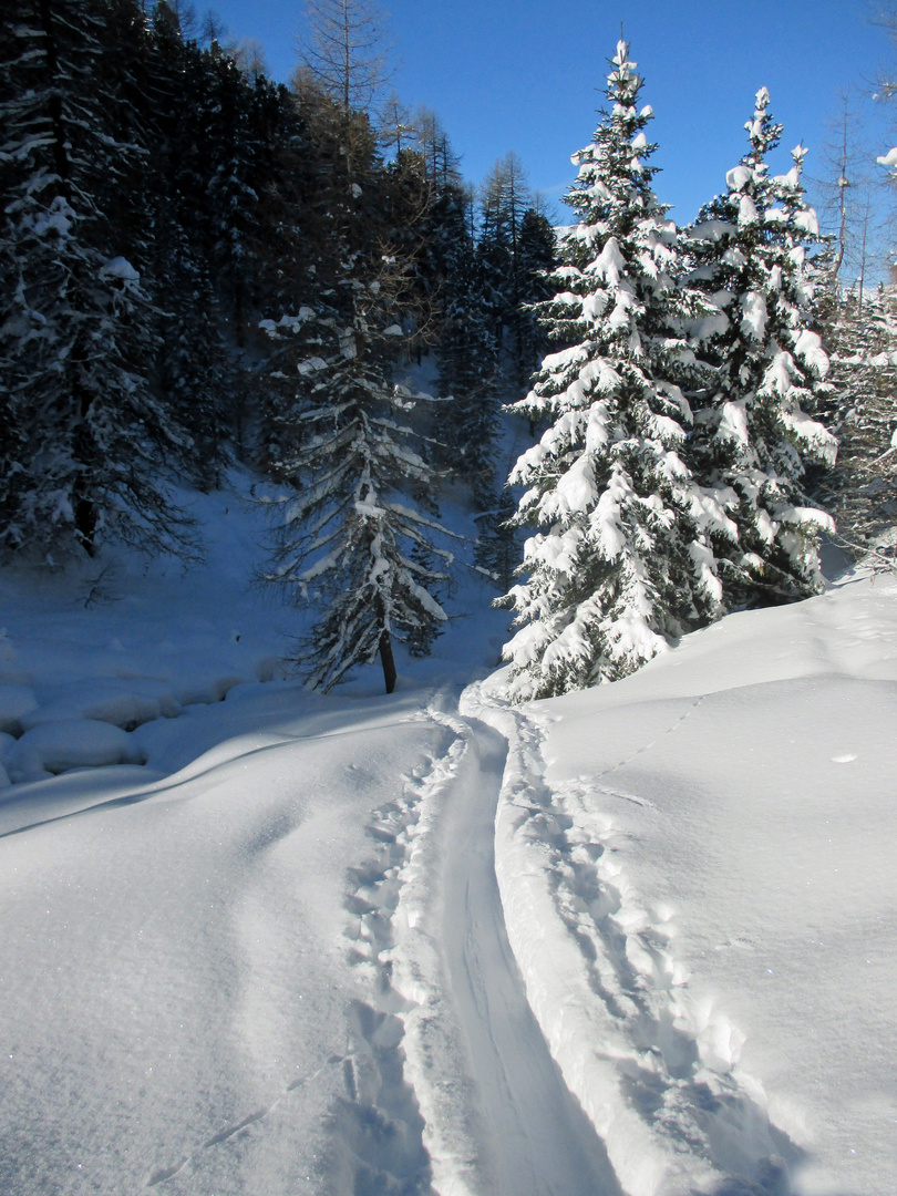 Spur im Schnee_26.12.2019