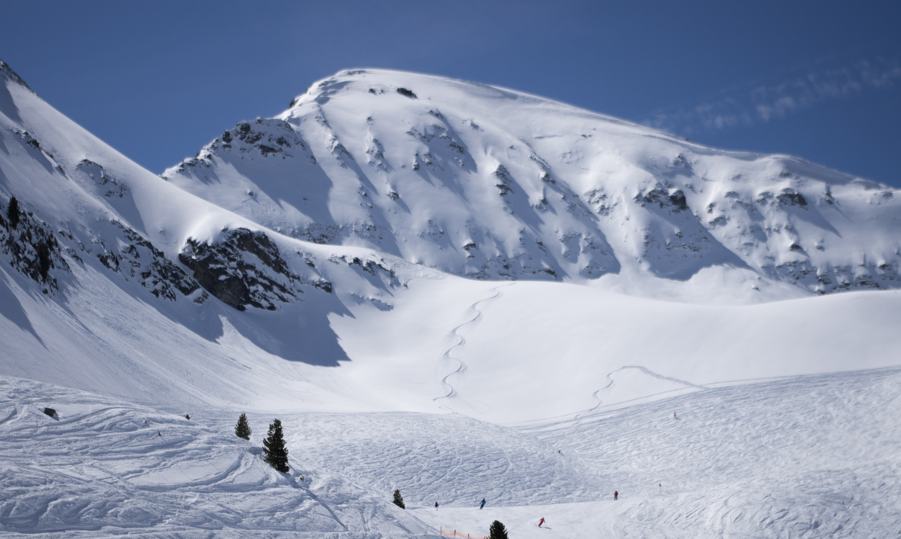 Spur im Tiefschnee