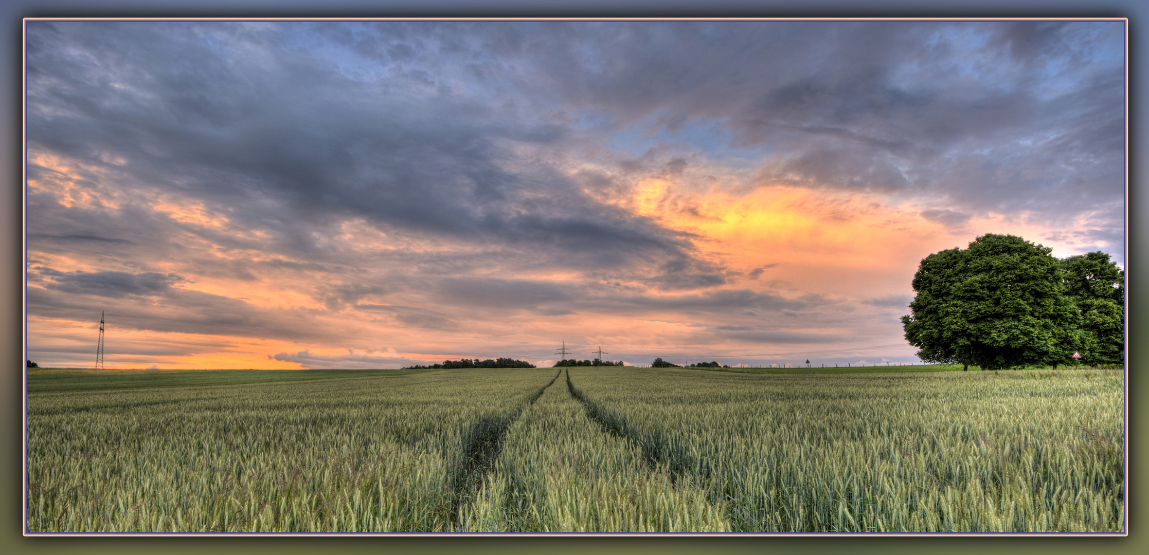  Spur im Weizenfeld