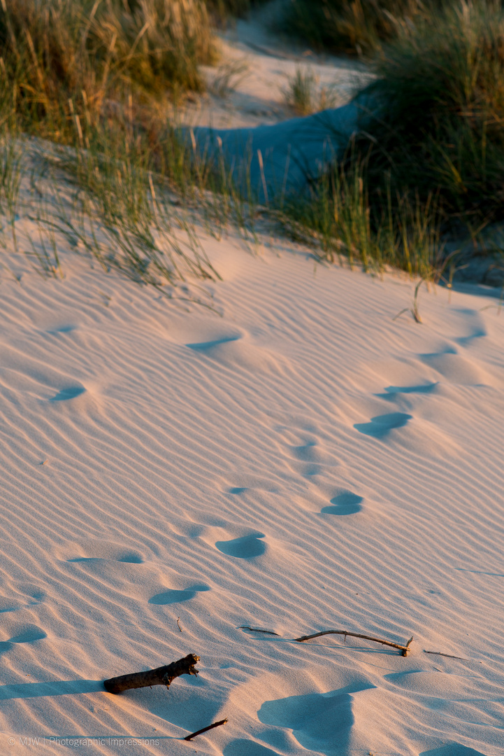 Spuren am Langeooger Strand