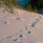 Spuren am Langeooger Strand