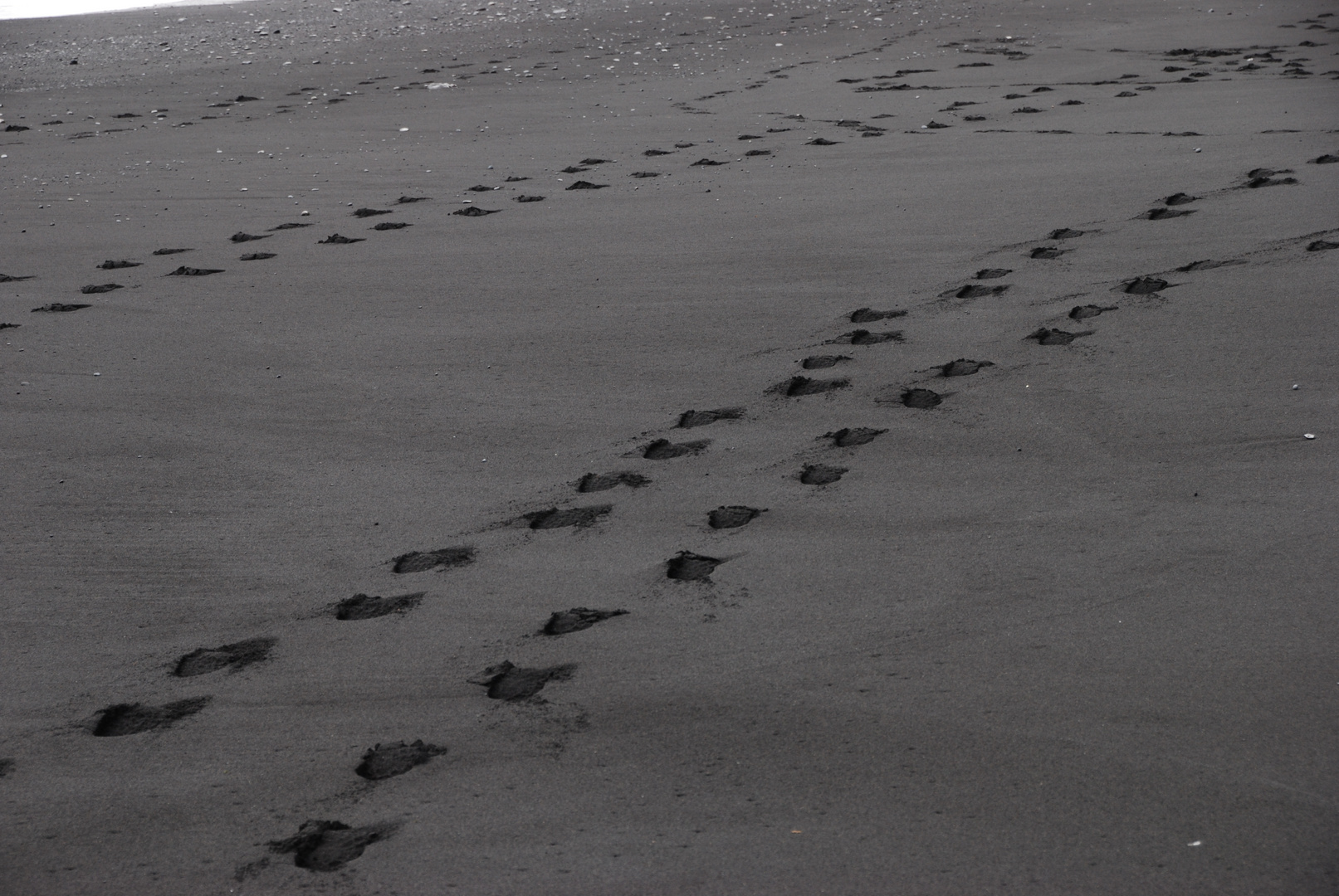 Spuren am Strand