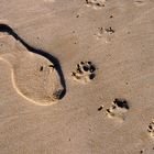 Spuren am Strand