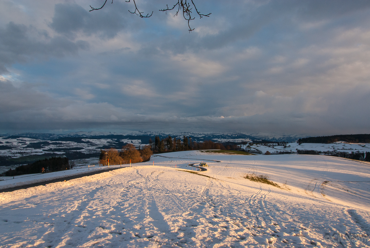 Spuren auf dem Gurten