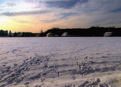 Spuren auf Schnee.