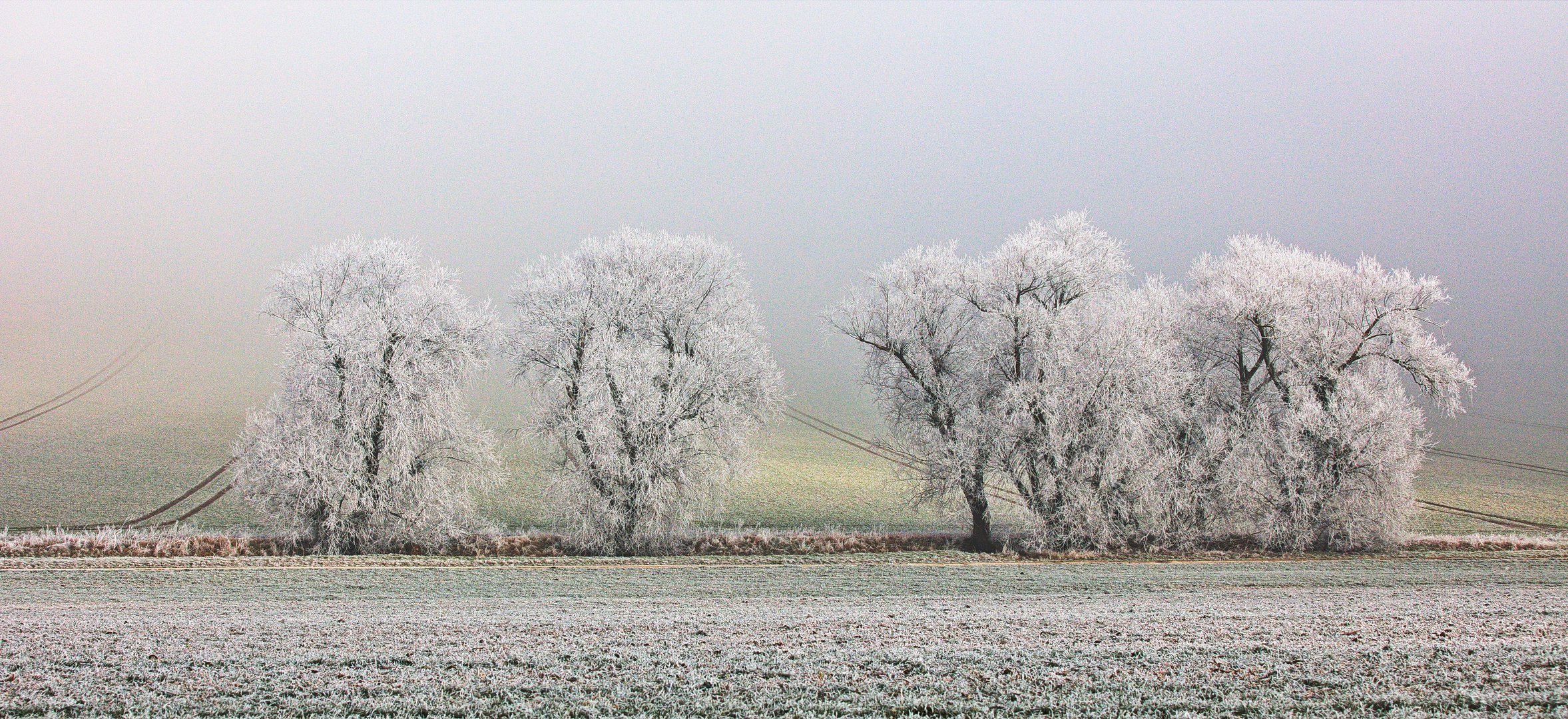 Spuren bei Frost und Nebel