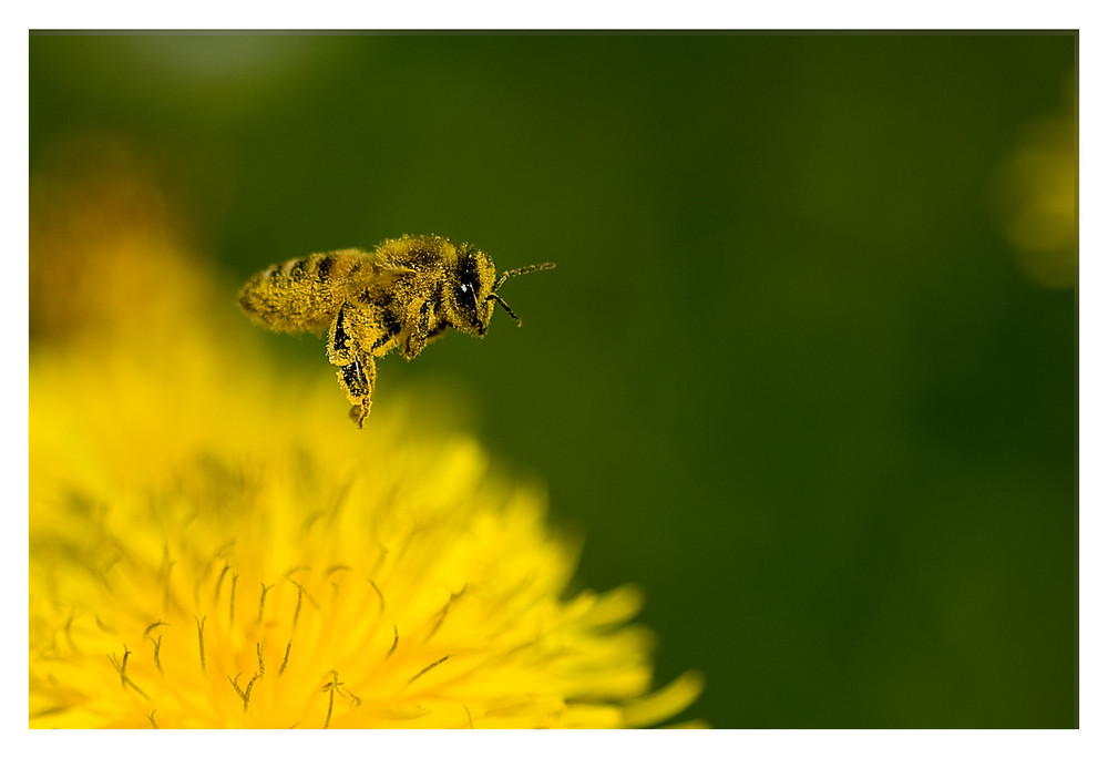 Spuren der Arbeit