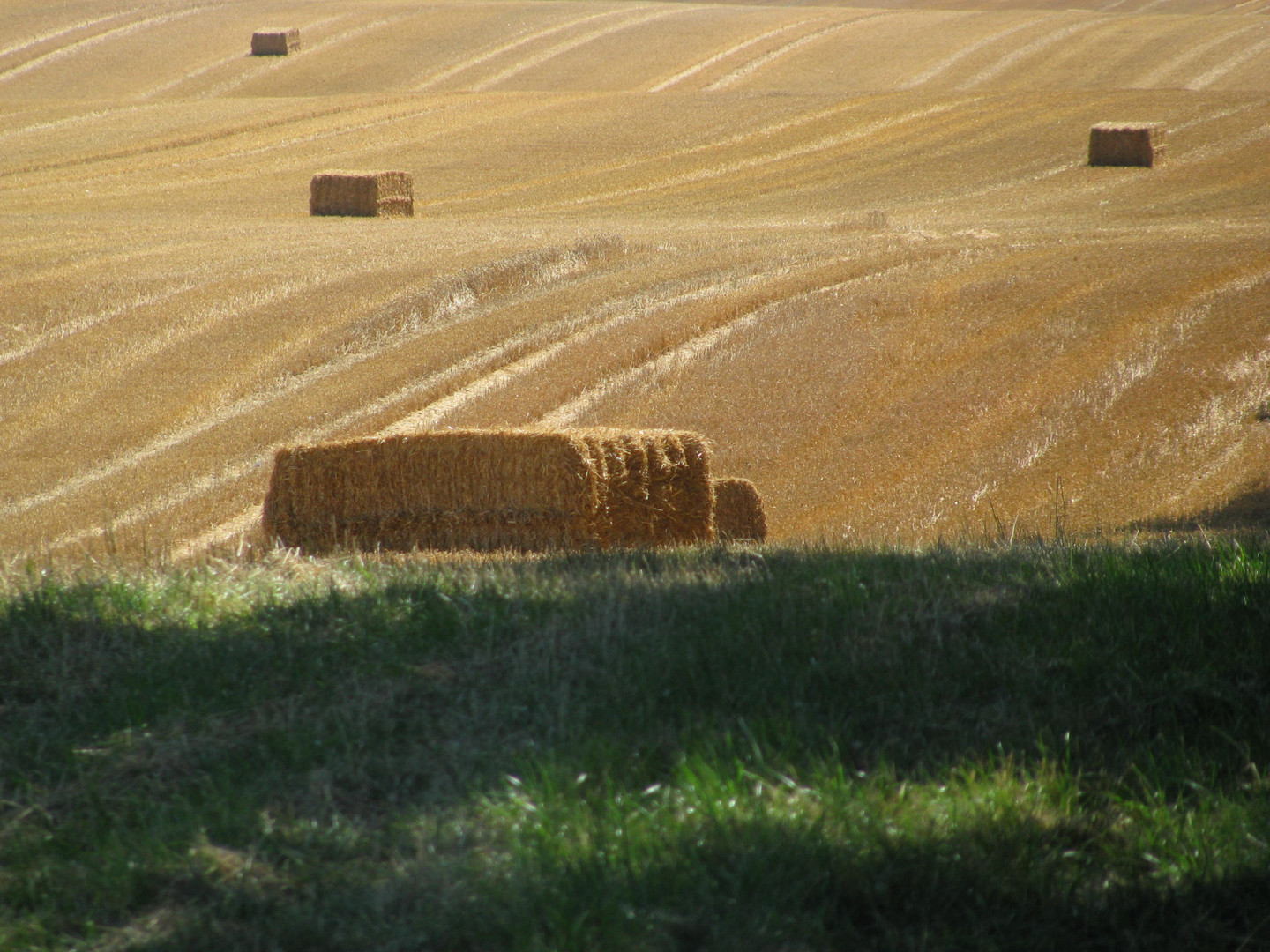 Spuren der Erntezeit