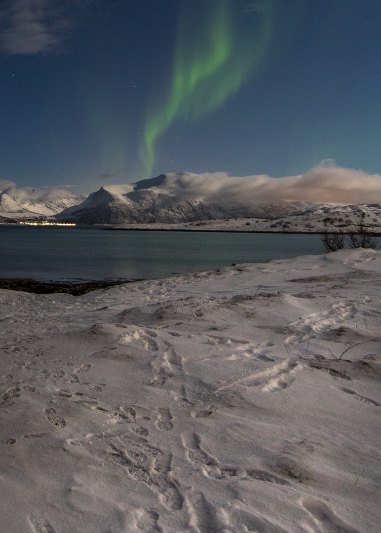 Spuren der Nordlichtjäger