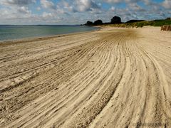 Spuren der Strandpflege