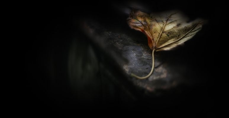 Spuren  der Vergänglichkeit …