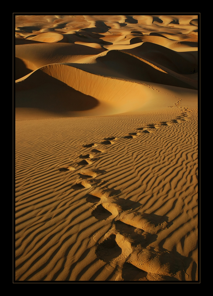 Spuren der Wüste