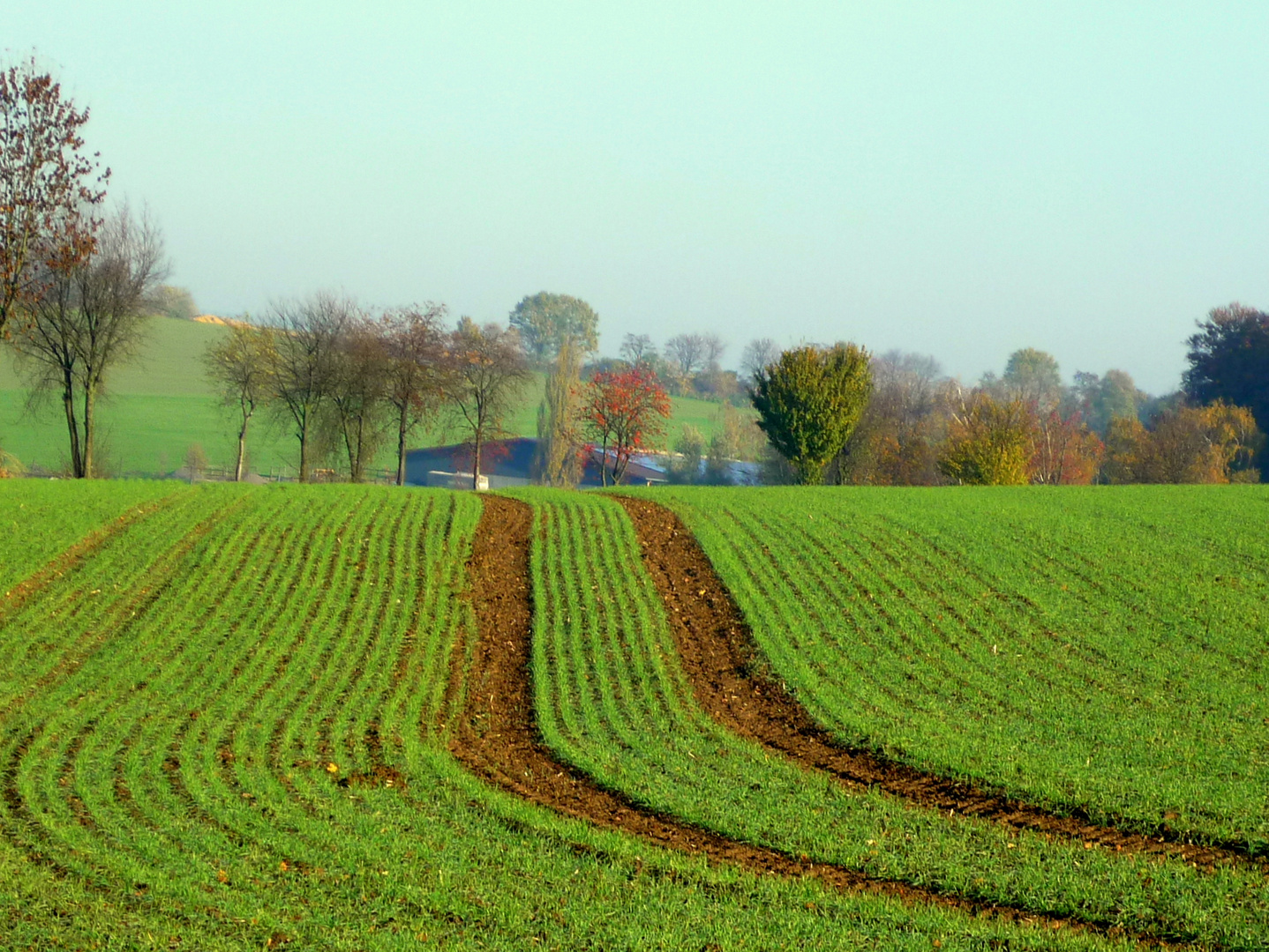 Spuren des Bauern