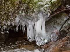 Spuren des Frostes am Bach